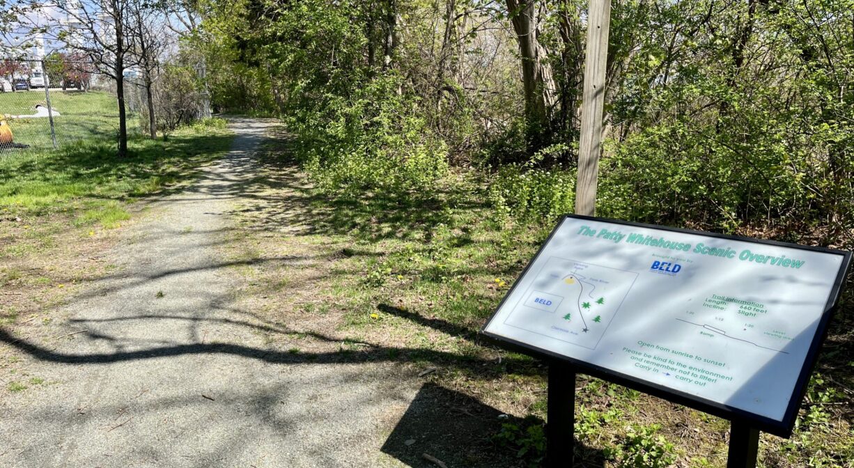 A photograph of an interpretive sign beside a wide trail.