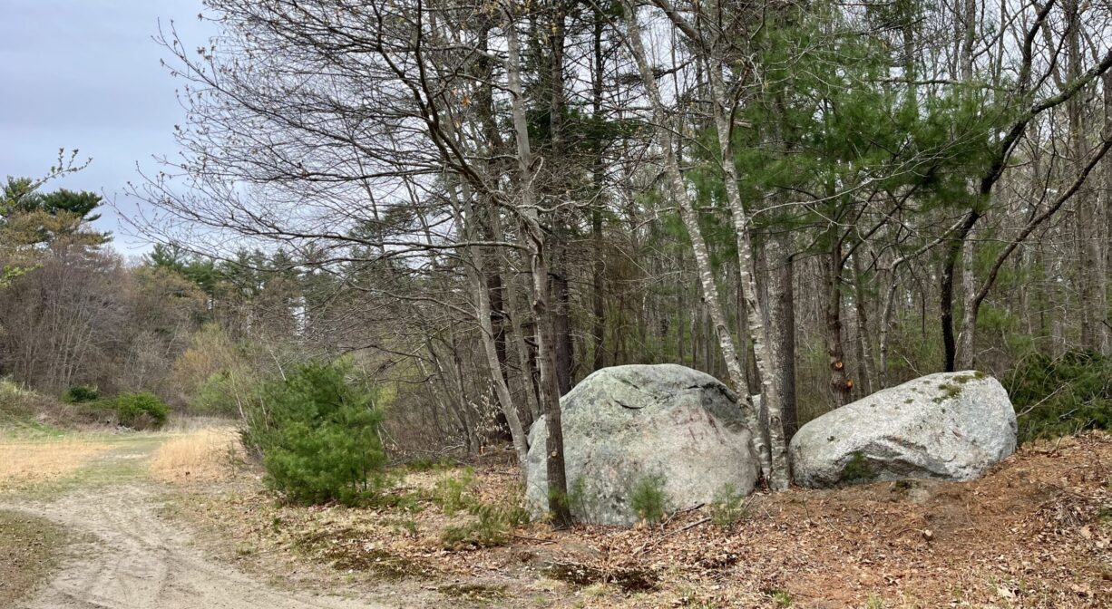 A photograph of a dirt trail past two large boulders, bordered with forest.