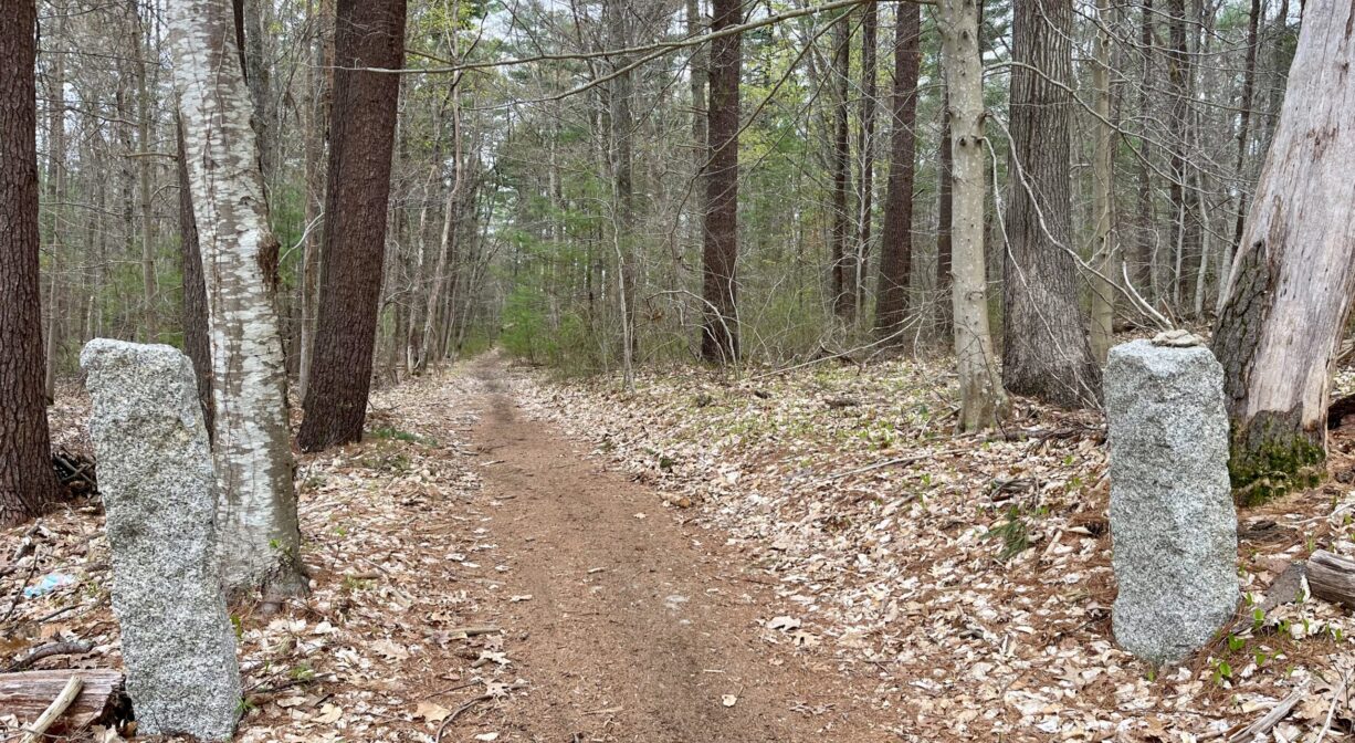 A photograph of a forest trail between two granite posts.
