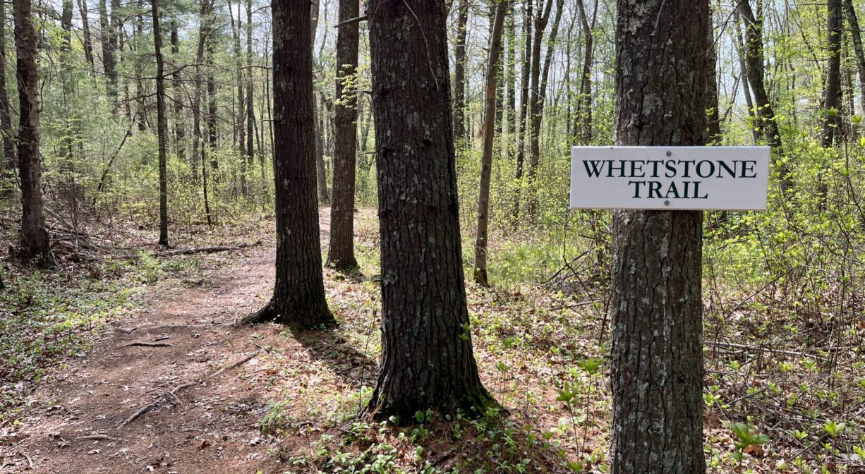A photograph of a forest trail with a sign on one of the trees.
