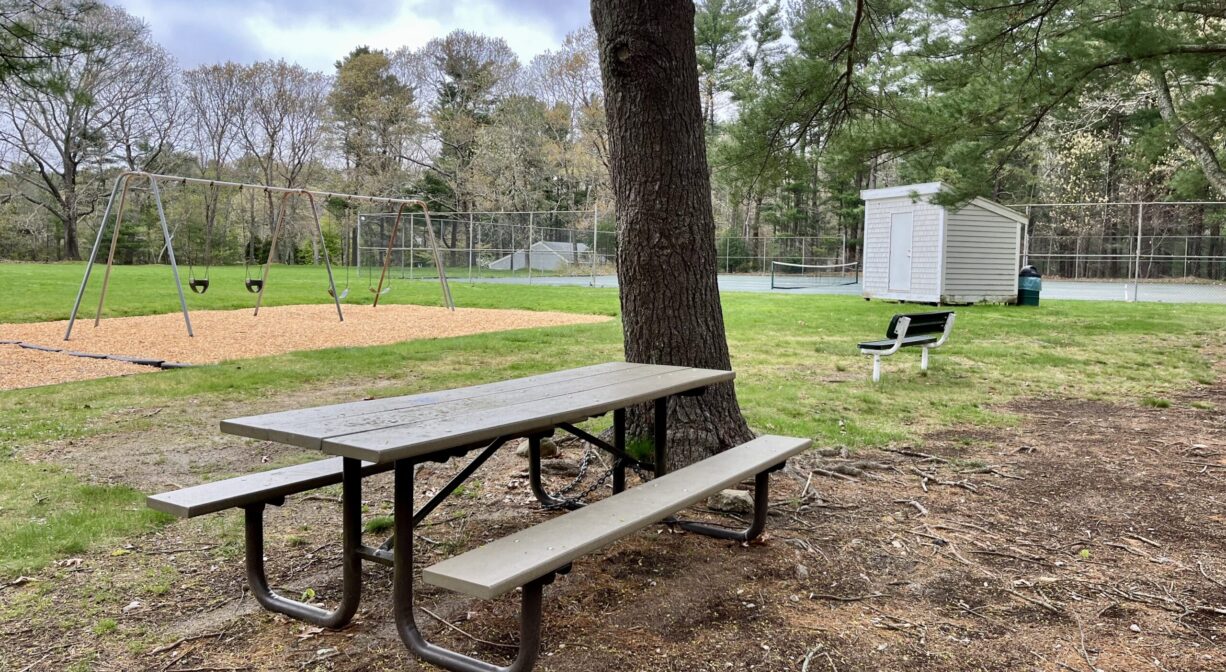 A photograph of a picnic table under a tree beside a playground and baseball field.
