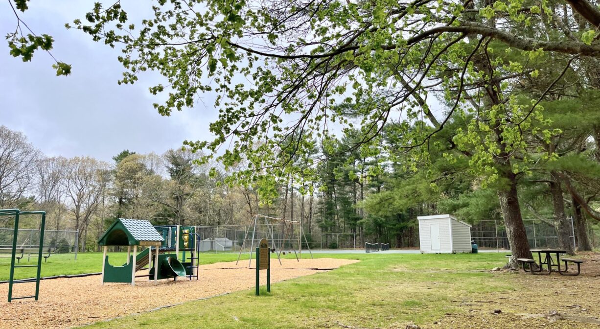 A photograph of a grassy park with forest to one side.